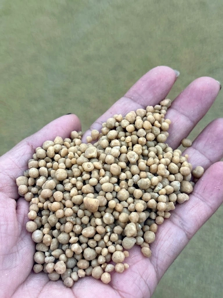 Round granular fertiliser product held in a hand for inspection