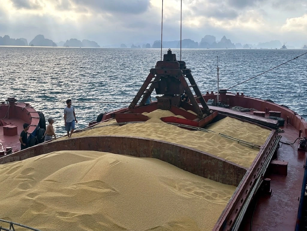Grab bucket positioned above yellow granular cargo on a vessel
